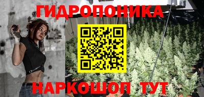 a pvp Гагарин